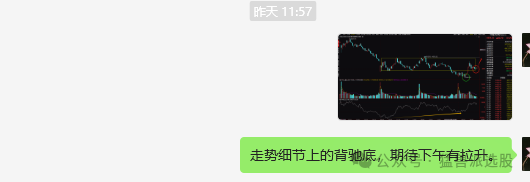 原文图片2
