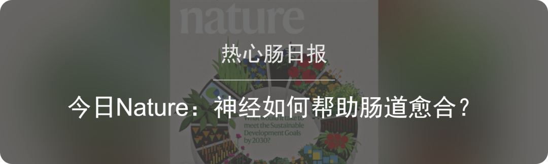 内窥镜市场怎么样消化内镜未来如何发展？一文解析发展历程与市场态势_https://www.jmylbn.com_新闻资讯_第11张