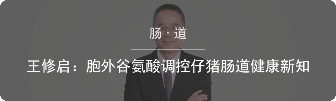 内窥镜市场怎么样消化内镜未来如何发展？一文解析发展历程与市场态势_https://www.jmylbn.com_新闻资讯_第13张