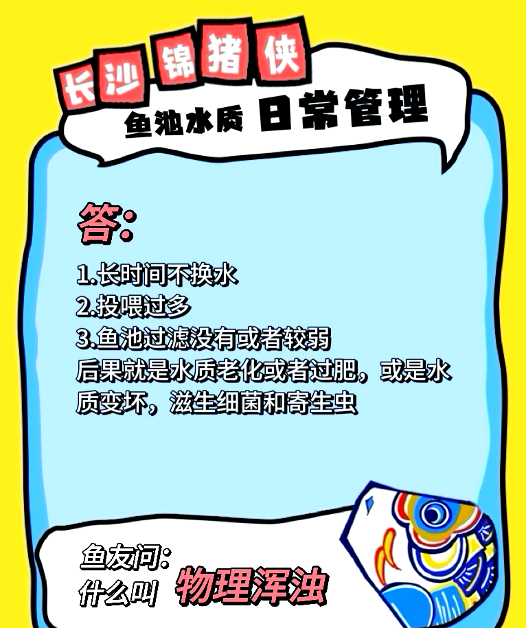 榄仁叶_榄仁叶 灯鱼_榄仁叶用大叶还是小叶