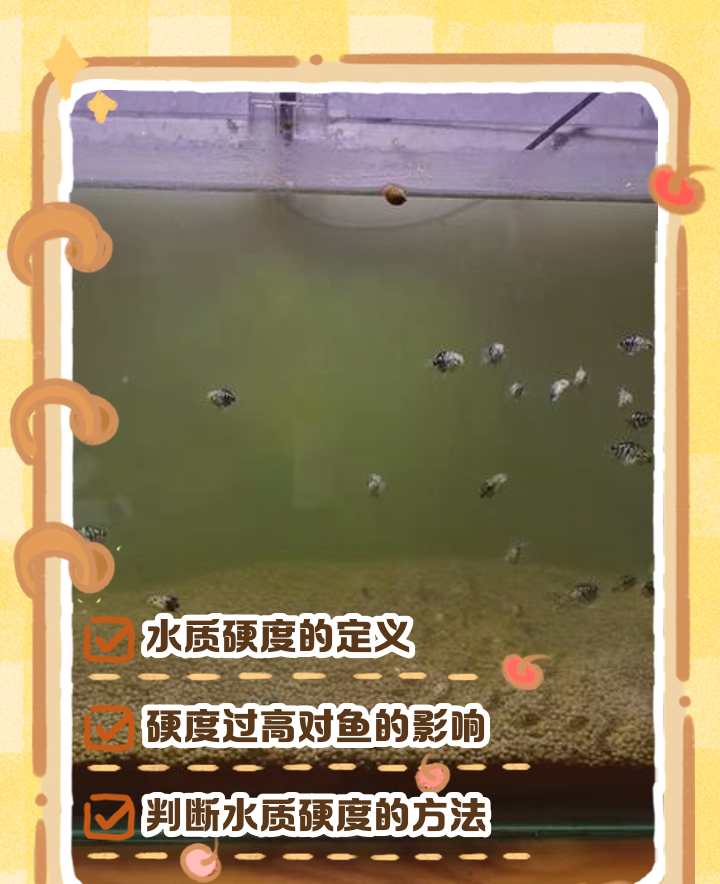 榄仁叶 灯鱼_榄仁叶用大叶还是小叶_榄仁叶