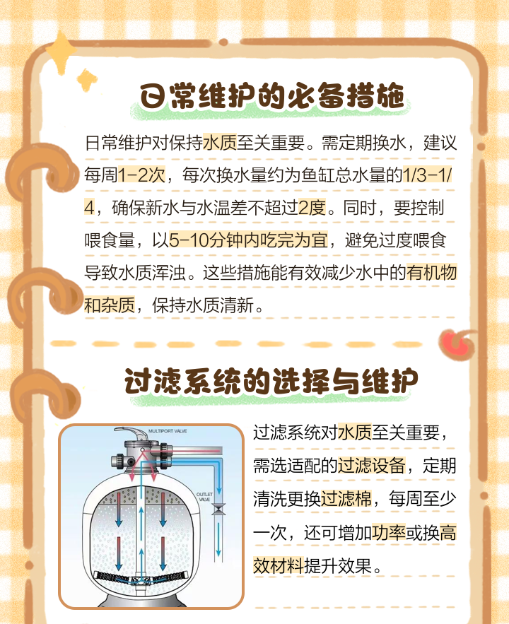 榄仁叶用大叶还是小叶_榄仁叶_榄仁叶 灯鱼