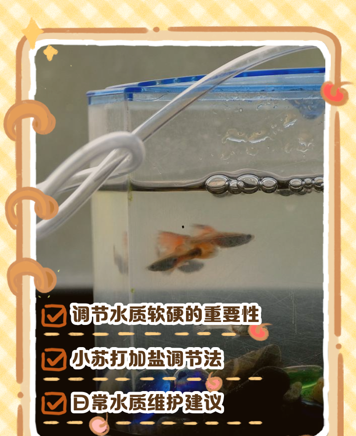 榄仁叶_榄仁叶用大叶还是小叶_榄仁叶 灯鱼