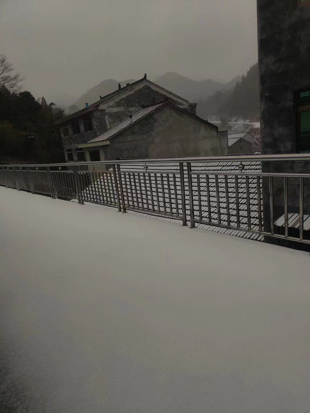 泰顺看雪图片