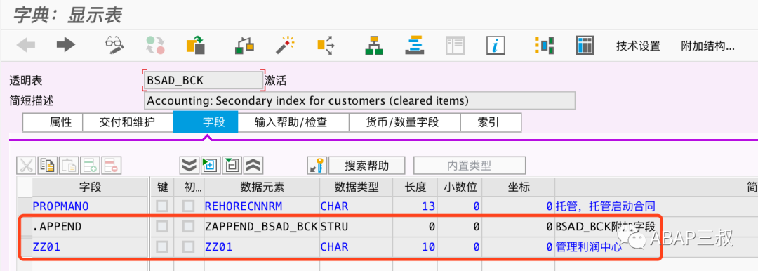 BSEGBSIDBSAD 增加自定义字段 - 封面图
