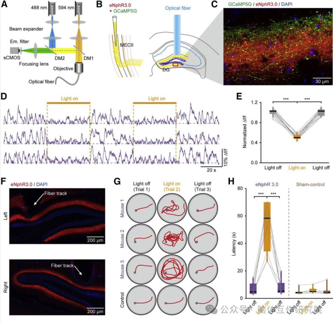脑体互作研究—神经药效评价实验外包平台
