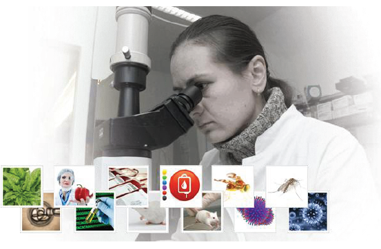脑体互作研究—神经药效评价实验外包平台