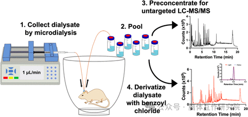 脑体互作研究—神经药效评价实验外包平台