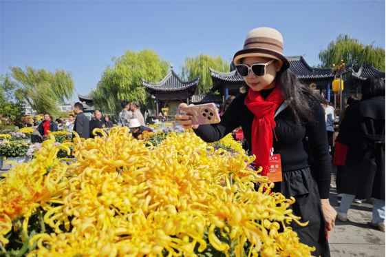 2021开封菊花展门票图片