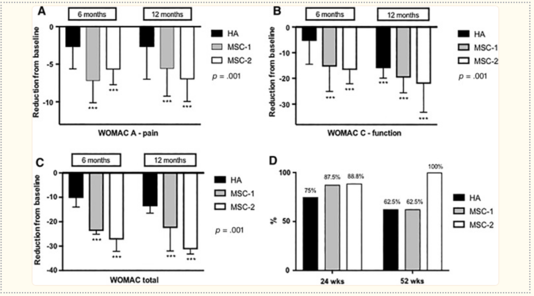 膝骨关节炎2次注射间充质干细胞，症状完全缓解！(图2)