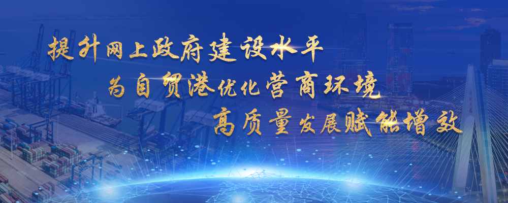 提升网上政府建设水平3.png