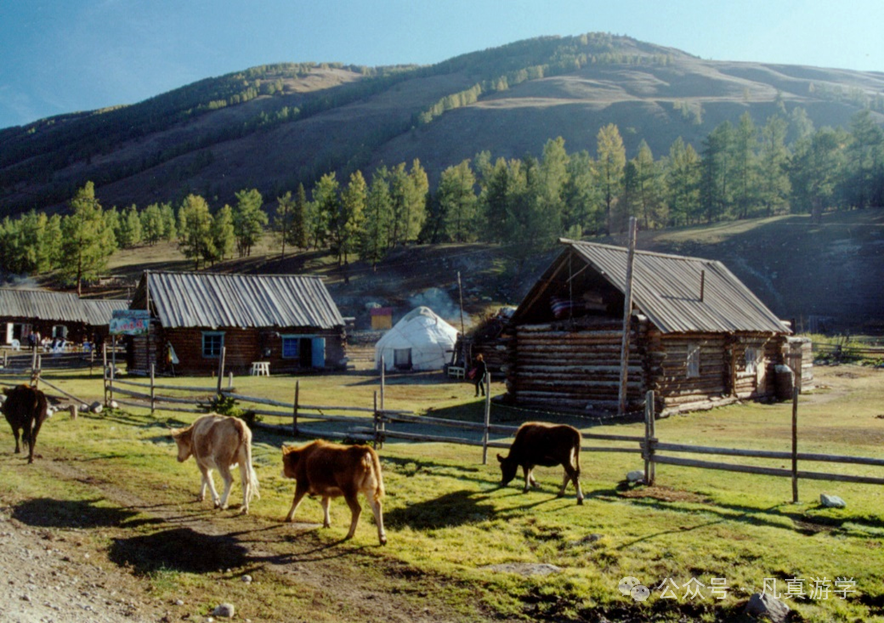 新疆游记(上):北疆