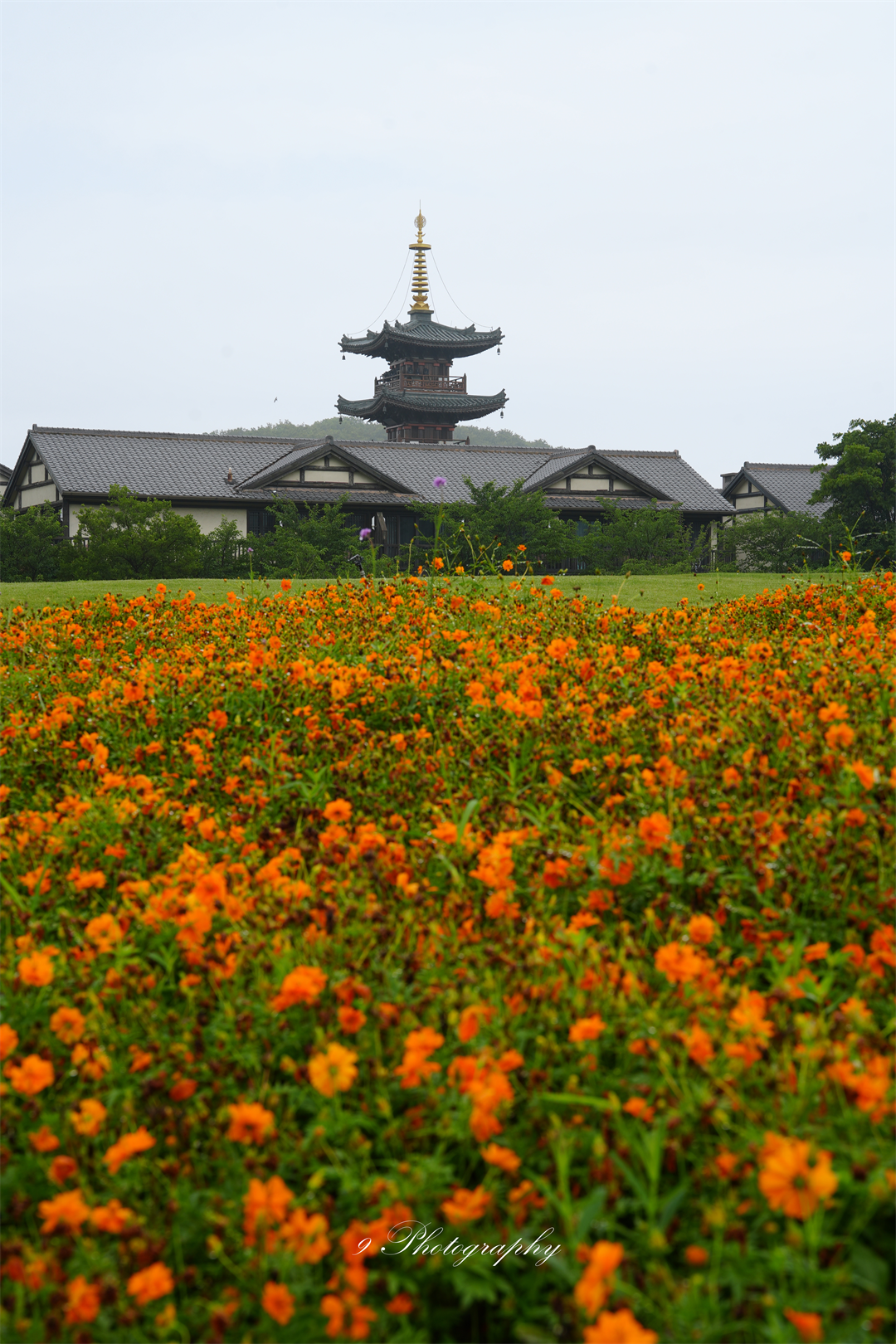 无锡拈花湾拈花客栈端午不加价349元起 含门票夜游及管家服务