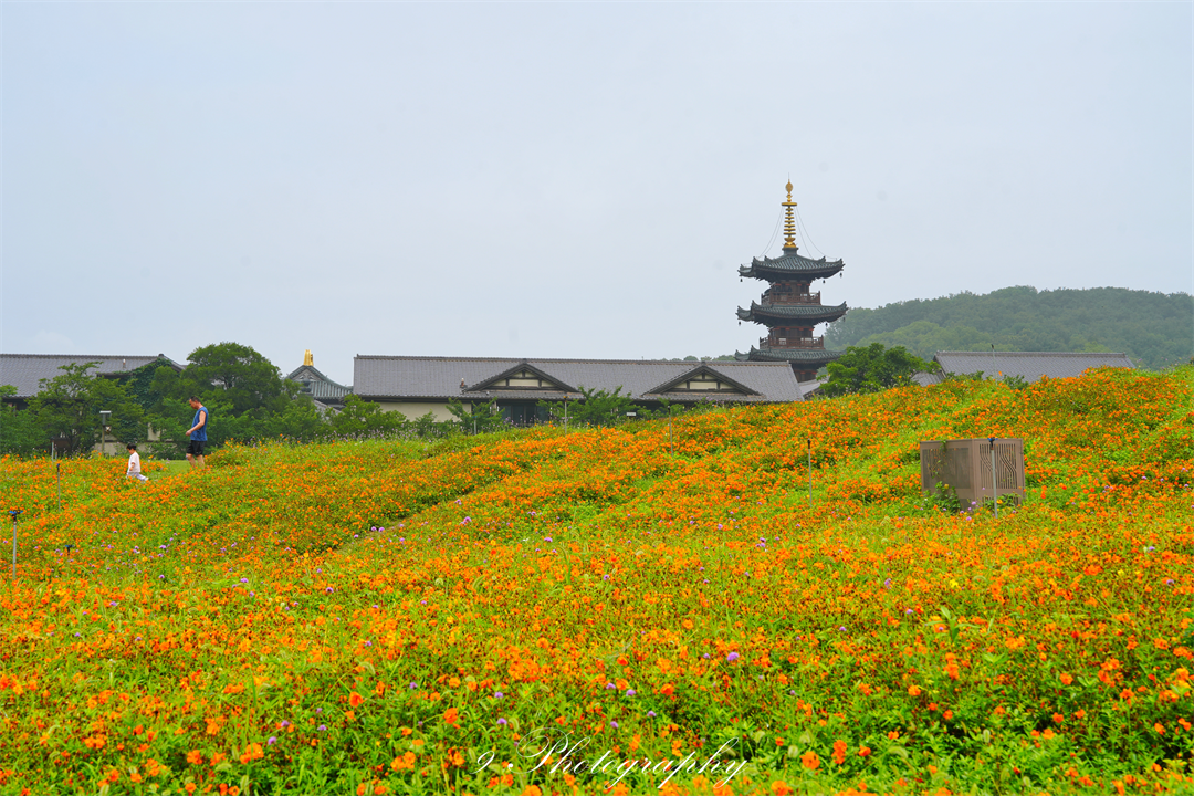 无锡拈花湾拈花客栈端午不加价349元起 含门票夜游及管家服务