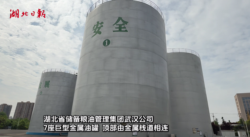 QQ20260511-205155.png