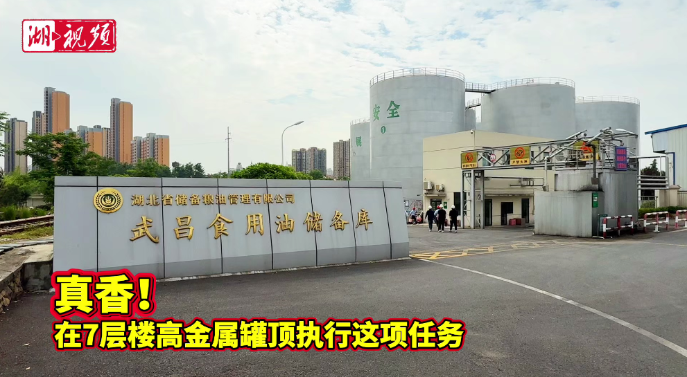 QQ20260511-205042.png
