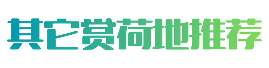 黄色简约宣传微信公众号封面 (2).png