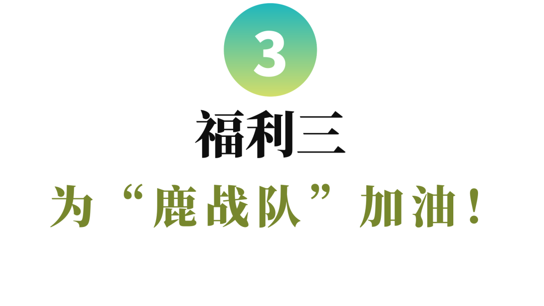 黄绿色足球争霸 (2).png