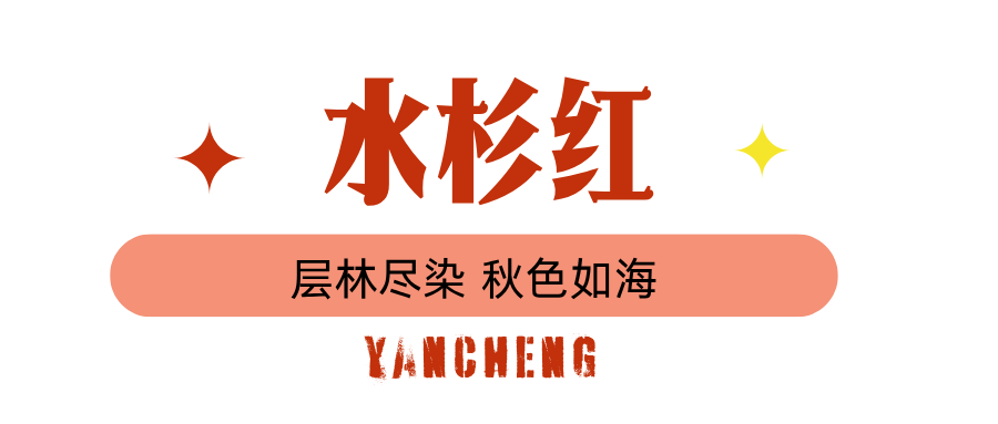蓝绿色图文旅游微信公众号封面 (2).png