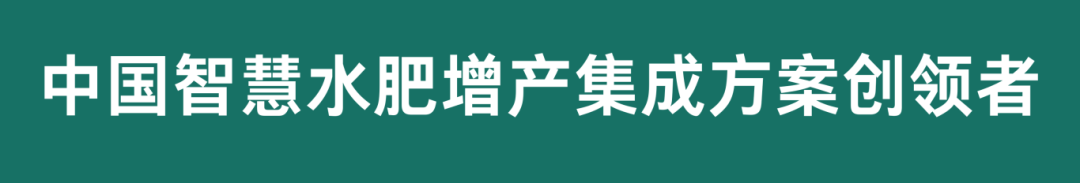 公众号切片.png