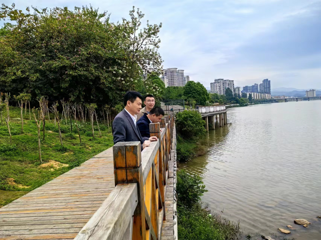 张人富调度城管领域生态环境保护工作