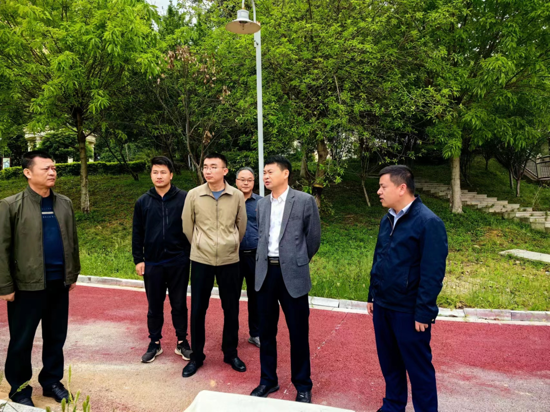 张人富调度城管领域生态环境保护工作