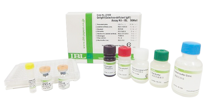 胰高血糖素超敏定量檢測：IBL ELISA助您解鎖更可靠的研究數(shù)據(jù)