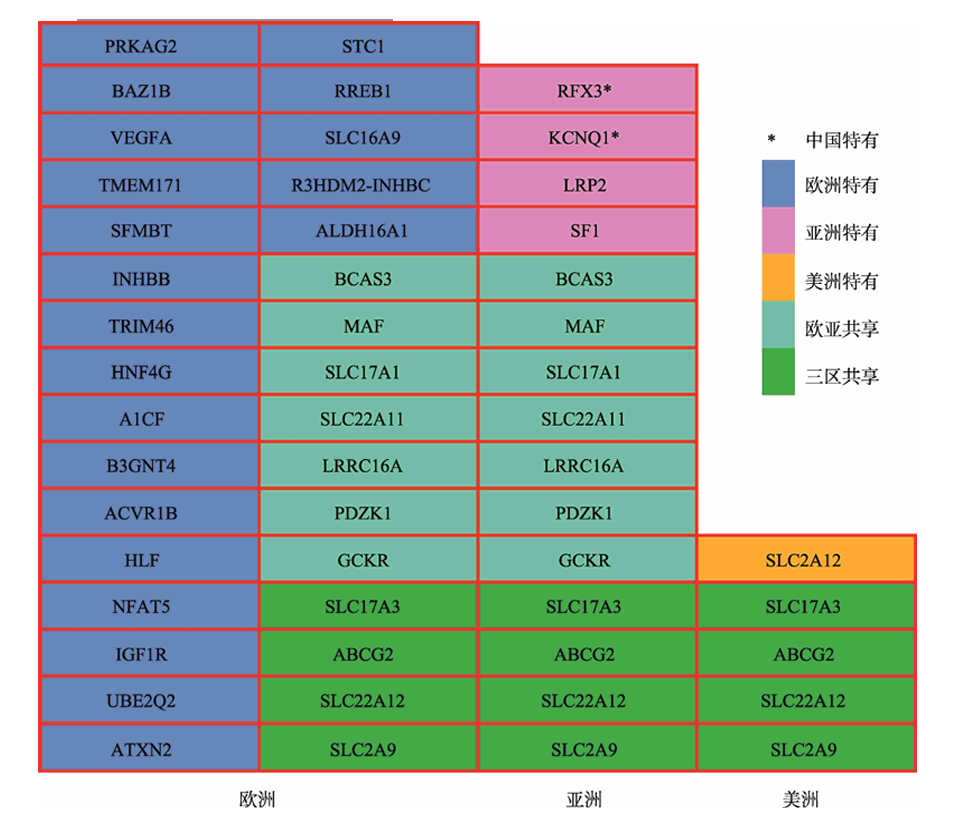 中国人的尿酸为啥越来越高了