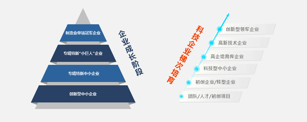 乾貨企業不同階段可以申報哪些科技類項目