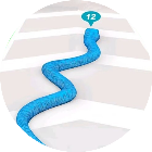 贪吃蛇无限进化游戏