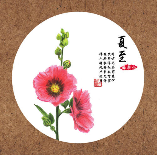 二十四节气都有自己的专属花,四季吐芬芳,我们将和孩子们一起探寻节气