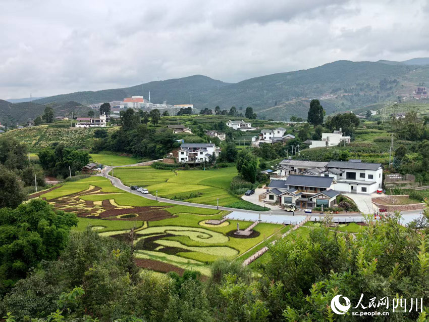 “陌上姜州”：石榴映红文旅路，农旅融合点亮幸福生活插图