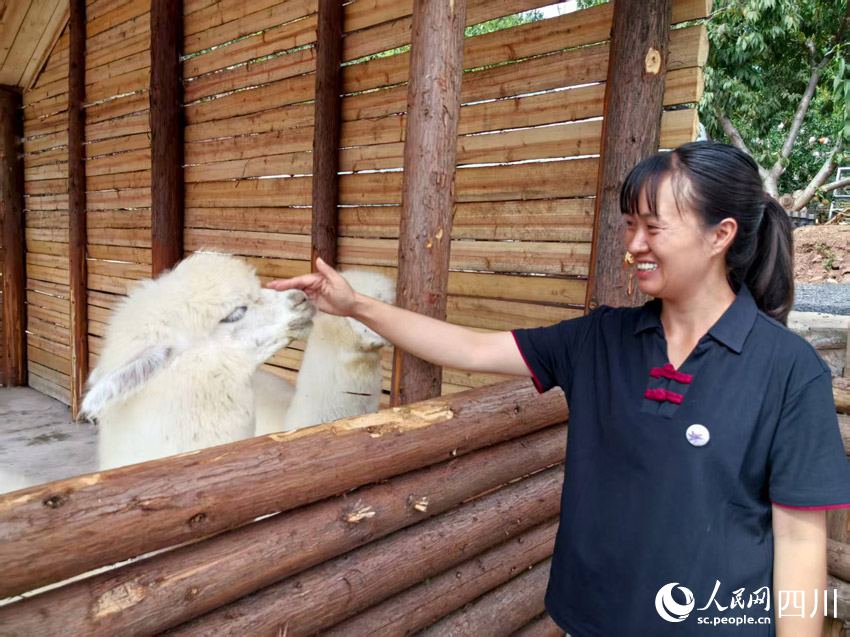 “陌上姜州”：石榴映红文旅路，农旅融合点亮幸福生活插图1