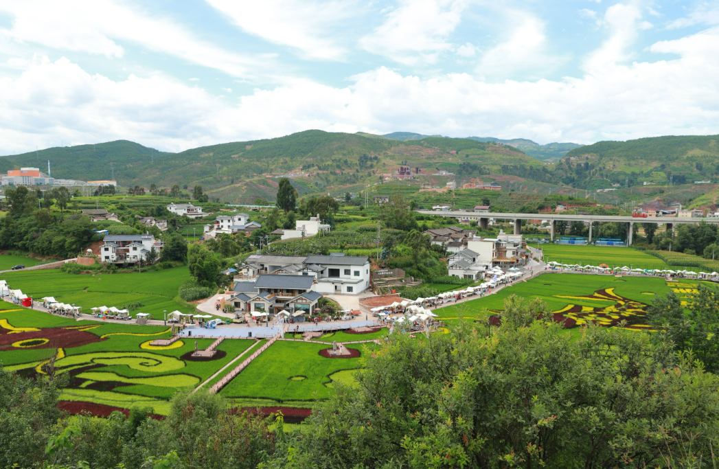 稻田音乐会“潮”涌乡村，会东文旅融合奏响乡村振兴“爆款”强音插图