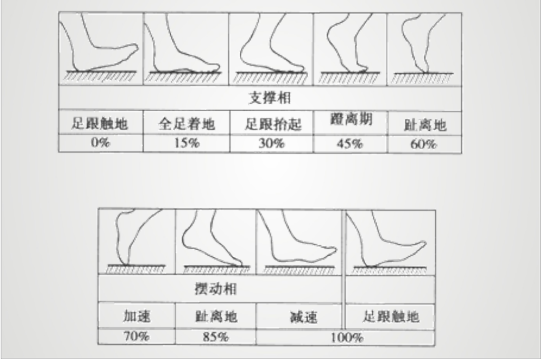 步态分析上曲线怎么解读康复科普｜常见异常步态的介绍及测试_https://www.jmylbn.com_新闻资讯_第6张
