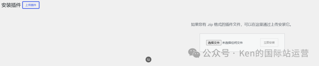 怎么用AI开发WordPress插件？新手建站省钱的表单插件实操方法