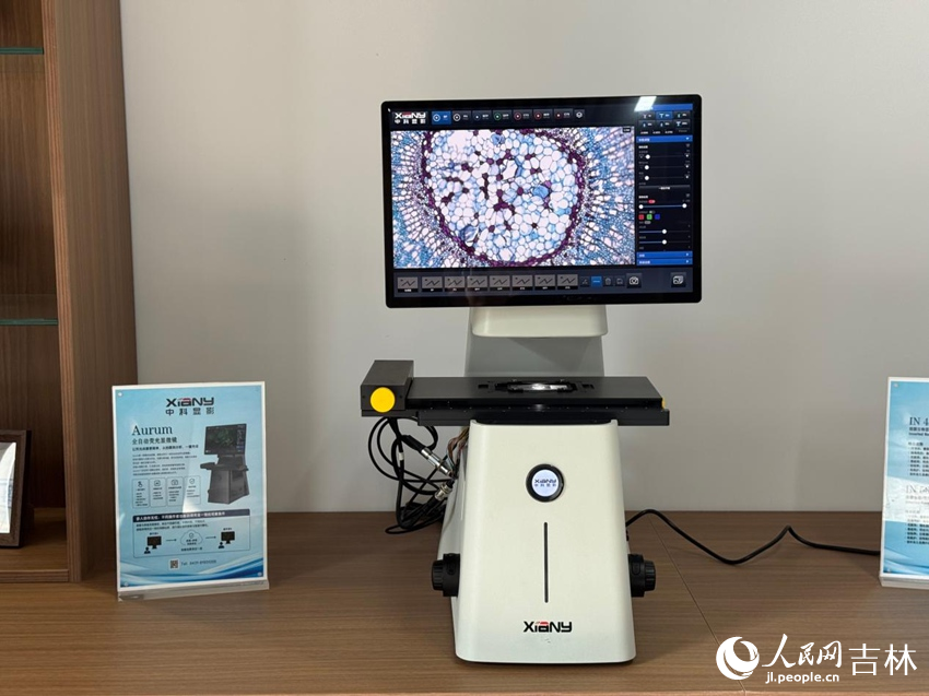 Aurum100全自动荧光显微镜下的椴树细胞切片。人民网记者 李思玥