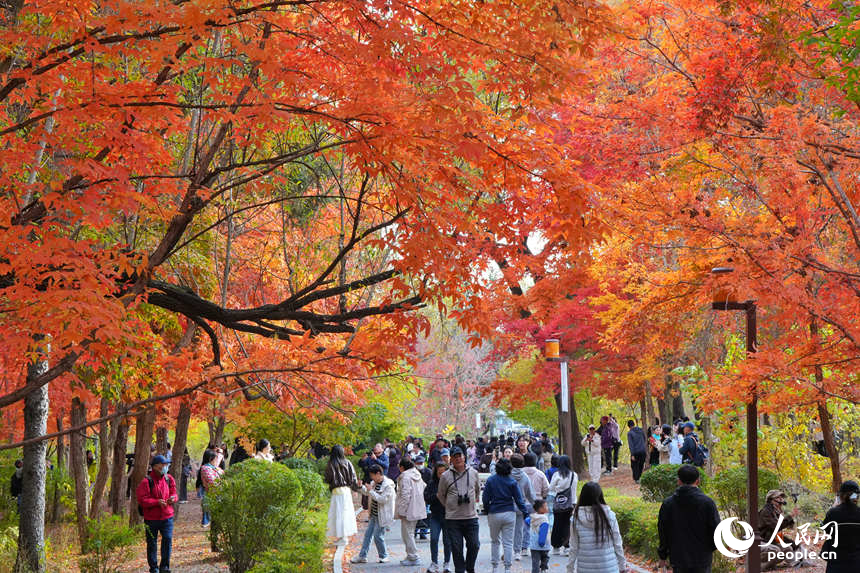 10月14日，市民游客在长春南湖公园乐享秋日时光。人民网记者 李洋摄