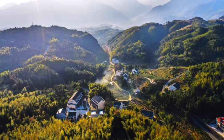 苍南这4个村奖励5万元!