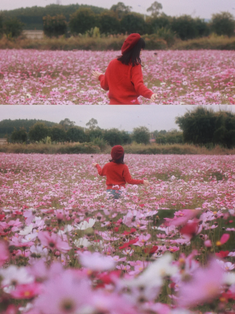 以上2图源@小红书女摄xiaoyu可约拍