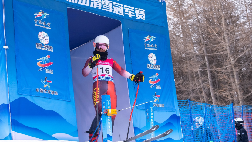 全国高山滑雪锦标赛图片