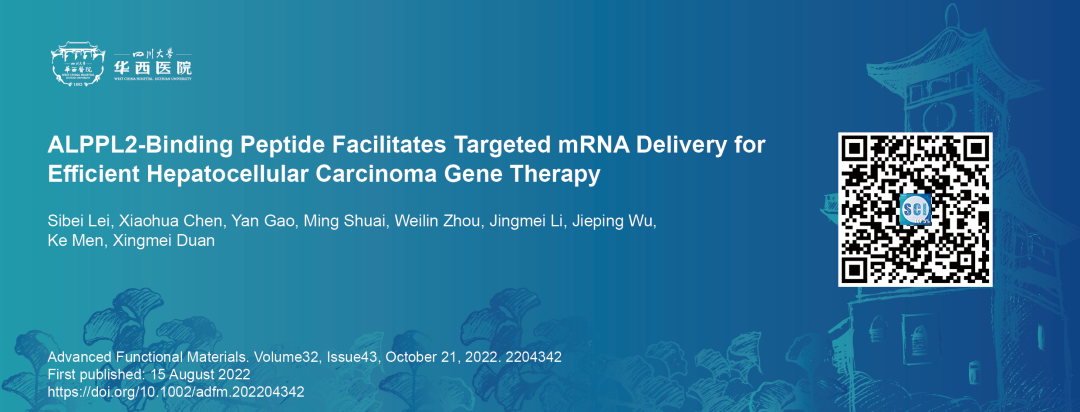 pl在医学中是什么意思四川大学华西医院生物治疗国家重点实验室门可研究员团队：ALPPL2 结合肽介导的mRNA靶向递送制剂用于肝癌的基因治疗_https://www.jmylbn.com_新闻资讯_第2张