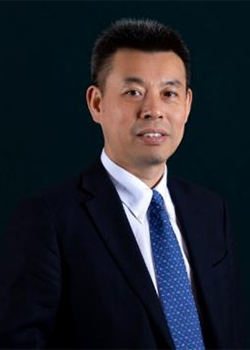 骨科用哪些止血纱华西医院骨科／骨科研究所沈彬／曾羿团队：氨甲环酸联合可吸收止血纱血液管理新策略实现“止血-抗纤溶”全覆盖，协同加速TKA术后康复_https://www.jmylbn.com_新闻资讯_第6张