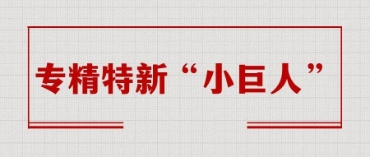 专精特新与专精特新“小巨人”企业有何不同？