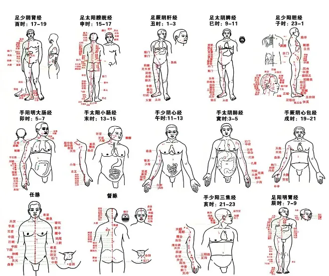 导什么针什么作用小银针大作用-关于针灸您了解多少？_https://www.jmylbn.com_新闻资讯_第8张