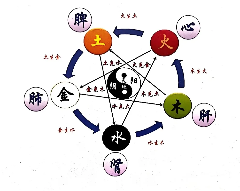 导什么针什么作用小银针大作用-关于针灸您了解多少？_https://www.jmylbn.com_新闻资讯_第9张