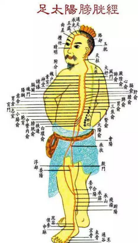 导什么针什么作用小银针大作用-关于针灸您了解多少？_https://www.jmylbn.com_新闻资讯_第7张