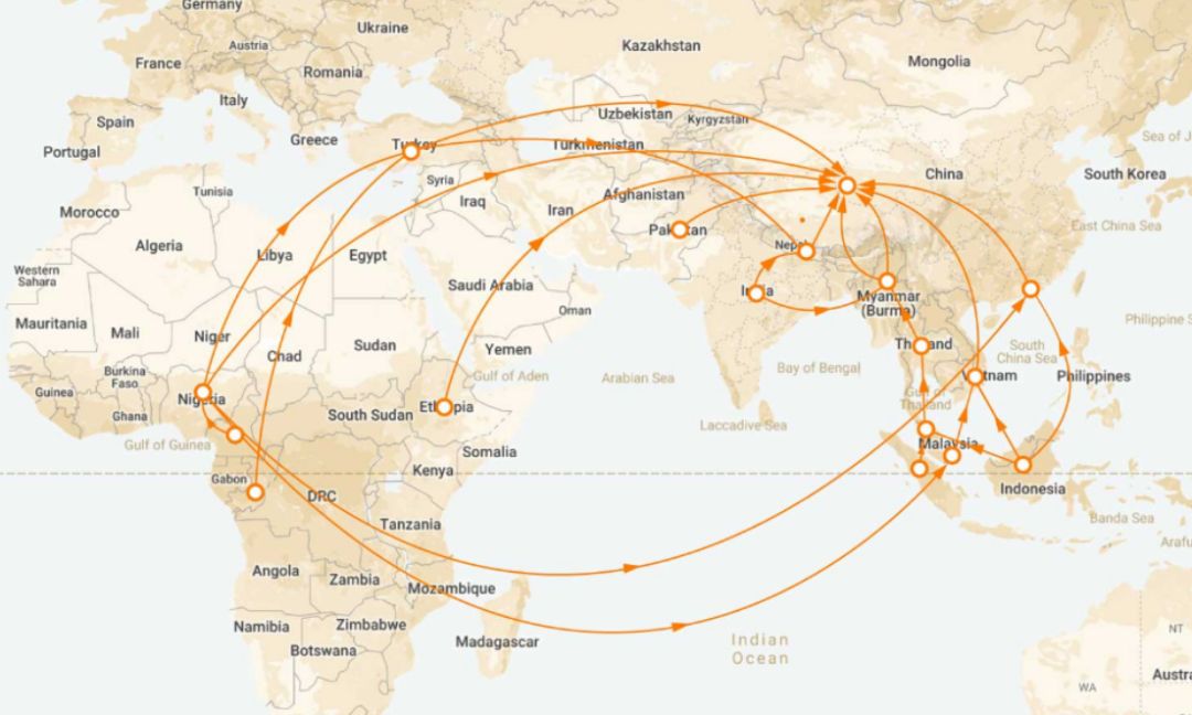 记吃不记打：昨天果子狸，今天穿山甲，明天会是谁？
