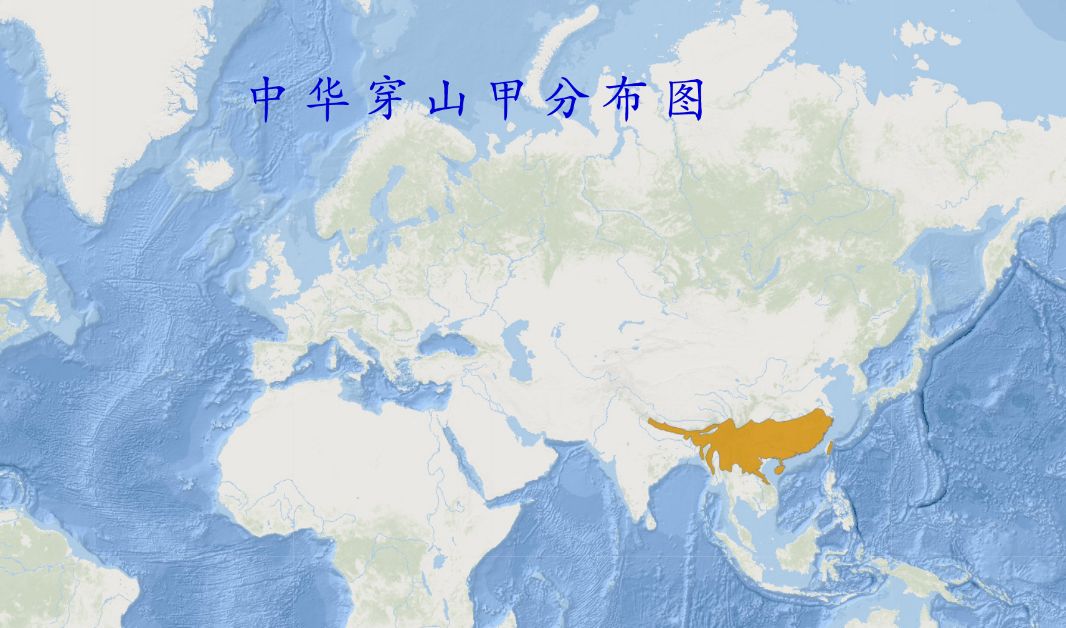 记吃不记打：昨天果子狸，今天穿山甲，明天会是谁？