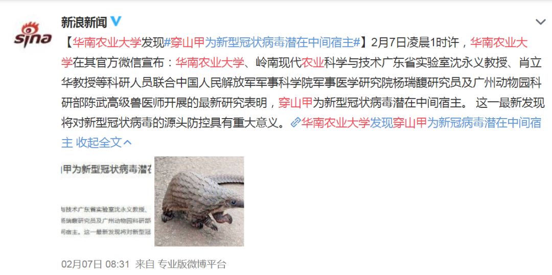 记吃不记打：昨天果子狸，今天穿山甲，明天会是谁？